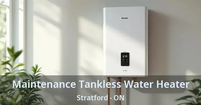 Maintenance Tankless Water Heater Stratford - ON Maintenance Tankless Water Heater Stratford - ON