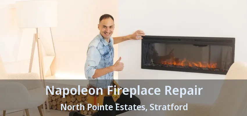Napoleon Fireplace Repair North Pointe Estates, Stratford - ON Napoleon Fireplace Repair North Pointe Estates, Stratford - ON