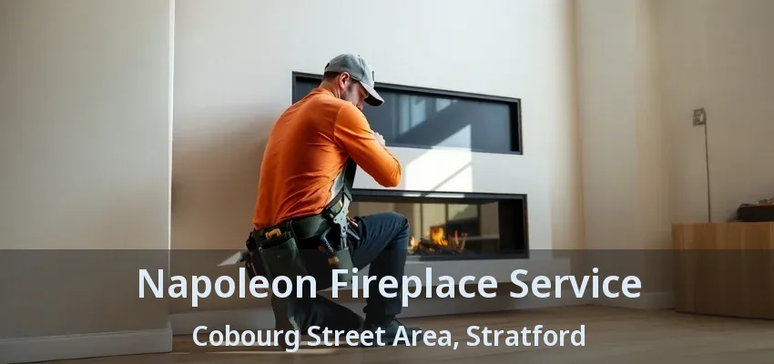 Napoleon Fireplace Service Cobourg Street Area, Stratford - ON Napoleon Fireplace Service Cobourg Street Area, Stratford - ON