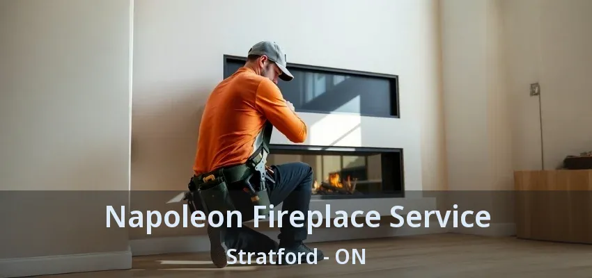 Napoleon Fireplace Service Stratford - ON Napoleon Fireplace Service Stratford - ON