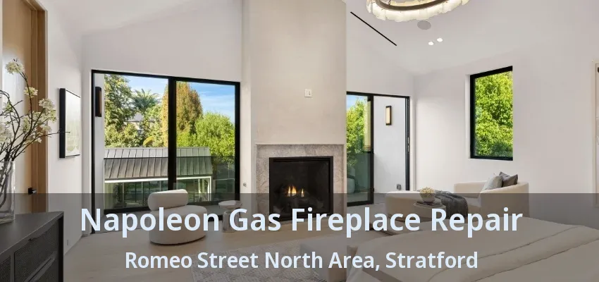 Napoleon Gas Fireplace Repair Romeo Street North Area, Stratford - ON Napoleon Gas Fireplace Repair Romeo Street North Area, Stratford - ON