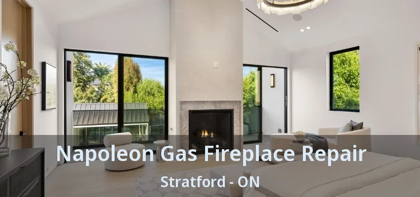 Napoleon Gas Fireplace Repair Stratford - ON Napoleon Gas Fireplace Repair Stratford - ON
