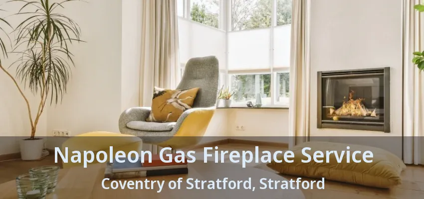 Napoleon Gas Fireplace Service Coventry of Stratford, Stratford - ON Napoleon Gas Fireplace Service Coventry of Stratford, Stratford - ON