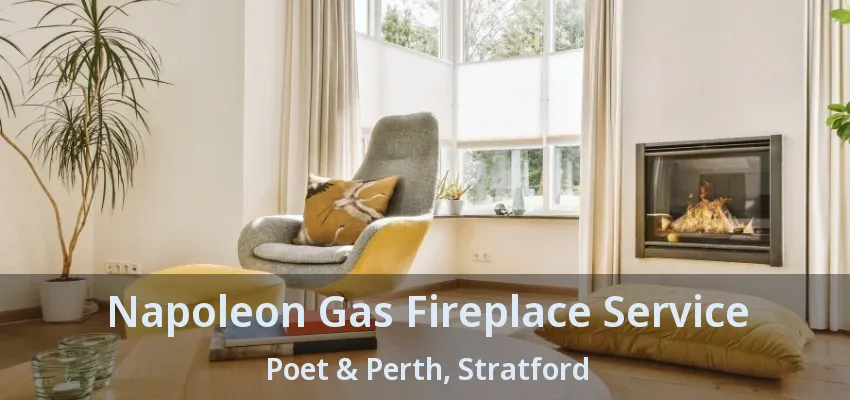 Napoleon Gas Fireplace Service Poet & Perth, Stratford - ON Napoleon Gas Fireplace Service Poet & Perth, Stratford - ON