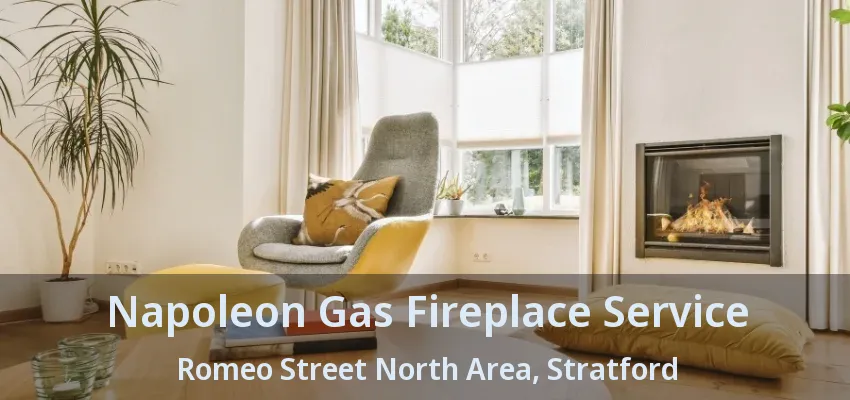Napoleon Gas Fireplace Service Romeo Street North Area, Stratford - ON Napoleon Gas Fireplace Service Romeo Street North Area, Stratford - ON