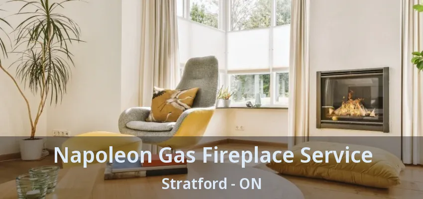 Napoleon Gas Fireplace Service Stratford - ON Napoleon Gas Fireplace Service Stratford - ON