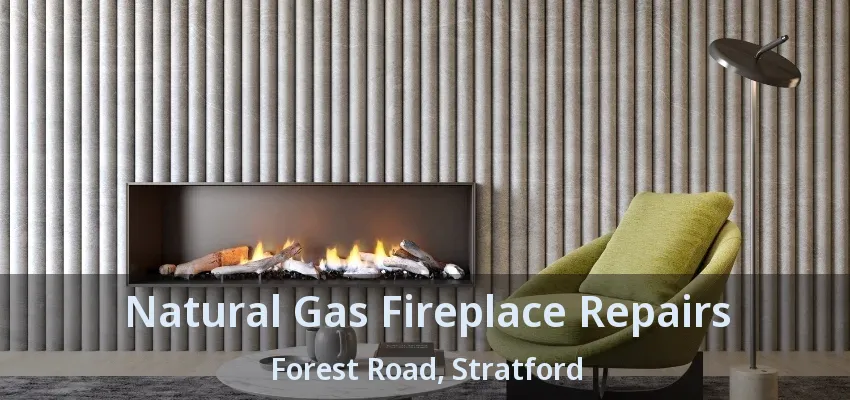 Natural Gas Fireplace Repairs Forest Road, Stratford - ON Natural Gas Fireplace Repairs Forest Road, Stratford - ON