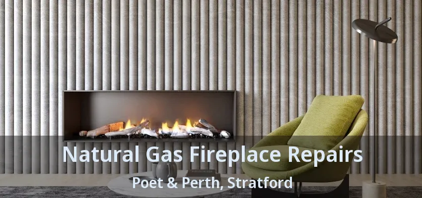 Natural Gas Fireplace Repairs Poet & Perth, Stratford - ON Natural Gas Fireplace Repairs Poet & Perth, Stratford - ON