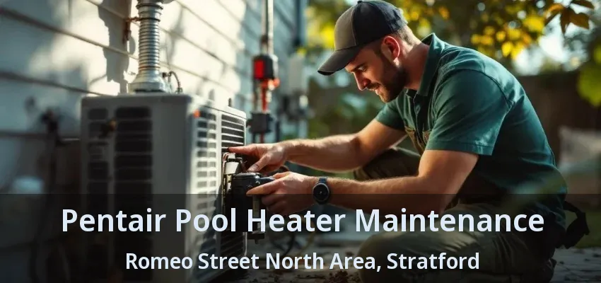 Pentair Pool Heater Maintenance Romeo Street North Area, Stratford - ON Pentair Pool Heater Maintenance Romeo Street North Area, Stratford - ON