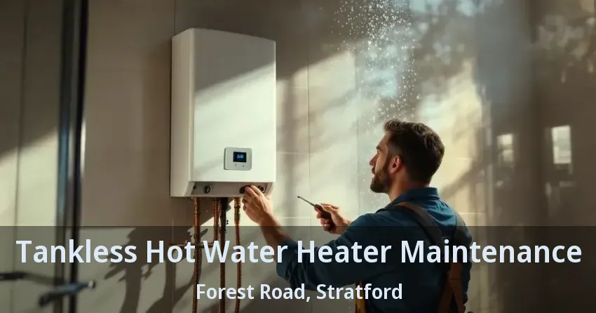Tankless Hot Water Heater Maintenance Forest Road, Stratford - ON Tankless Hot Water Heater Maintenance Forest Road, Stratford - ON