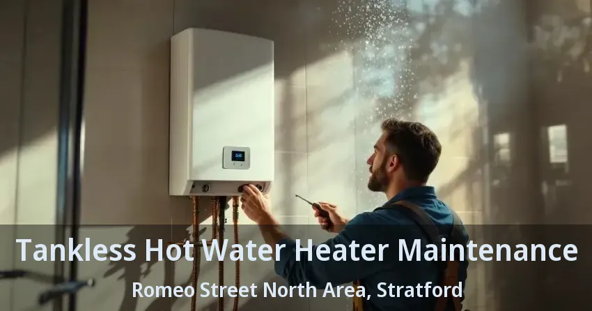 Tankless Hot Water Heater Maintenance Romeo Street North Area, Stratford - ON Tankless Hot Water Heater Maintenance Romeo Street North Area, Stratford - ON
