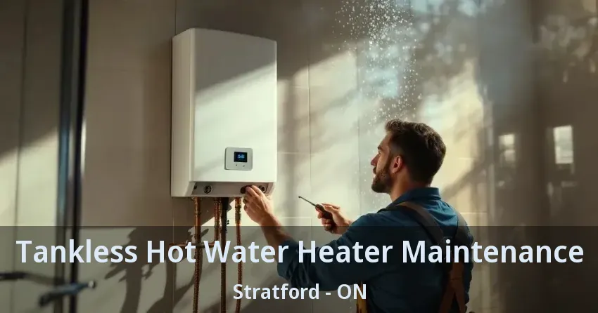Tankless Hot Water Heater Maintenance Stratford - ON Tankless Hot Water Heater Maintenance Stratford - ON