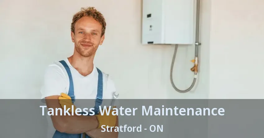 Tankless Water Maintenance Stratford - ON Tankless Water Maintenance Stratford - ON